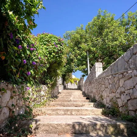 Διαμέρισμα Dino 